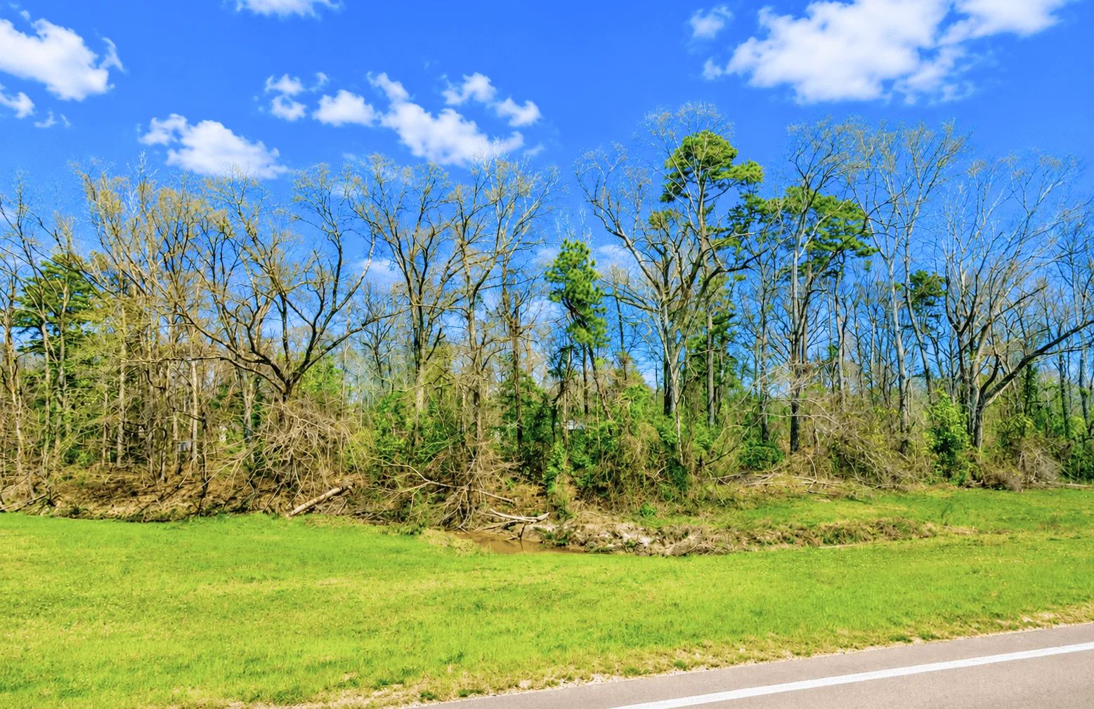 0.31 Acres with Highway Frontage in Perry County, MS
