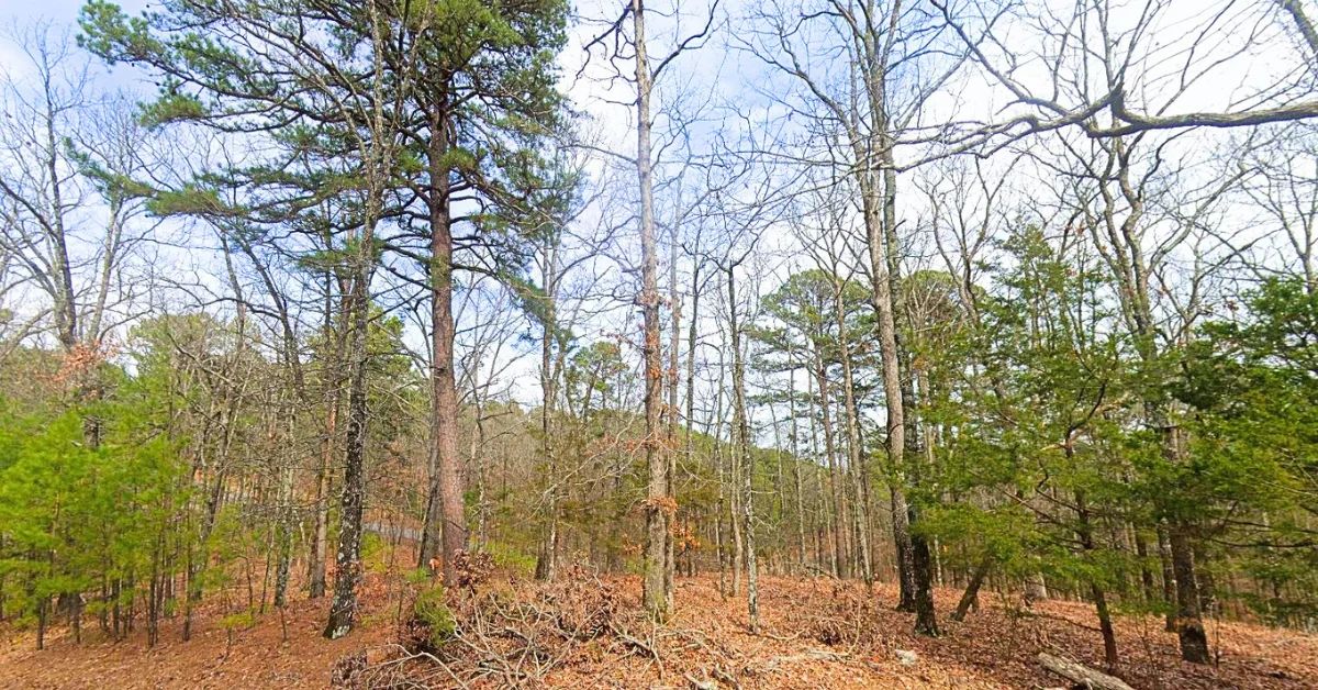 0.23 Acres Mountain and Lake View for Sale Fairfield Bay, AR in Cleburne County, AR