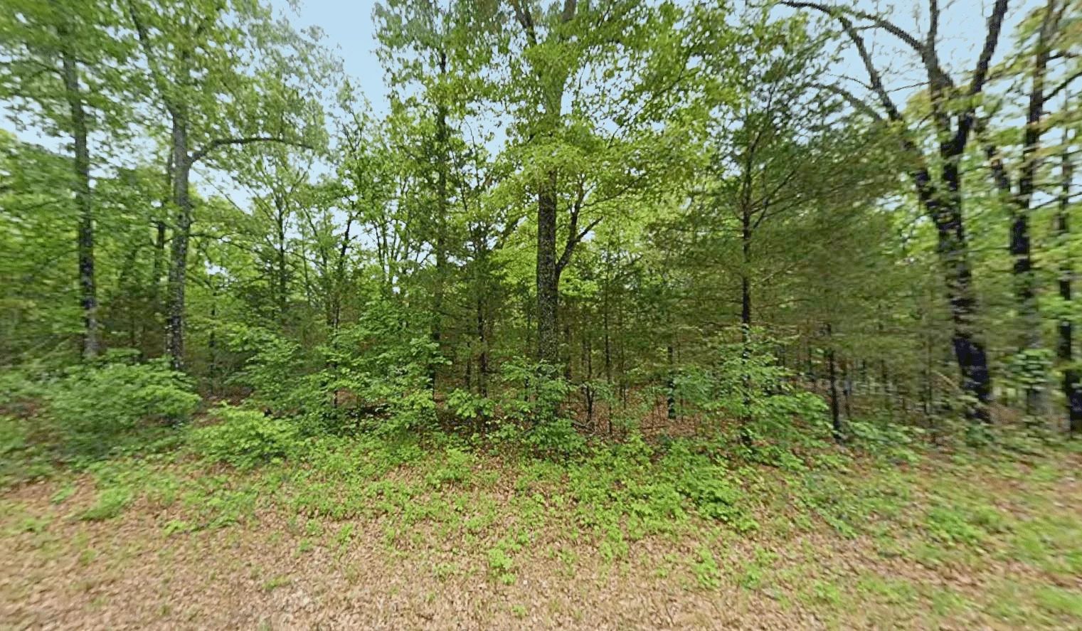 0.47 Acre Near Crown Lake – Horseshoe Bend, AR! in Izard County, AR