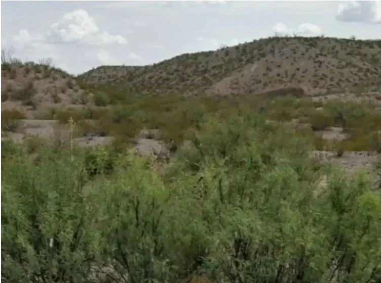 28.75 Acres of Unrestricted Land in Presidio, Texas in Presidio County, TX