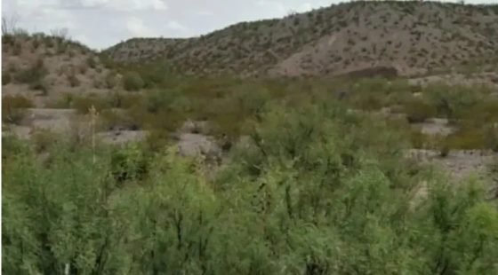 28.75 Acres of Unrestricted Land in Presidio, Texas in Presidio County, TX
