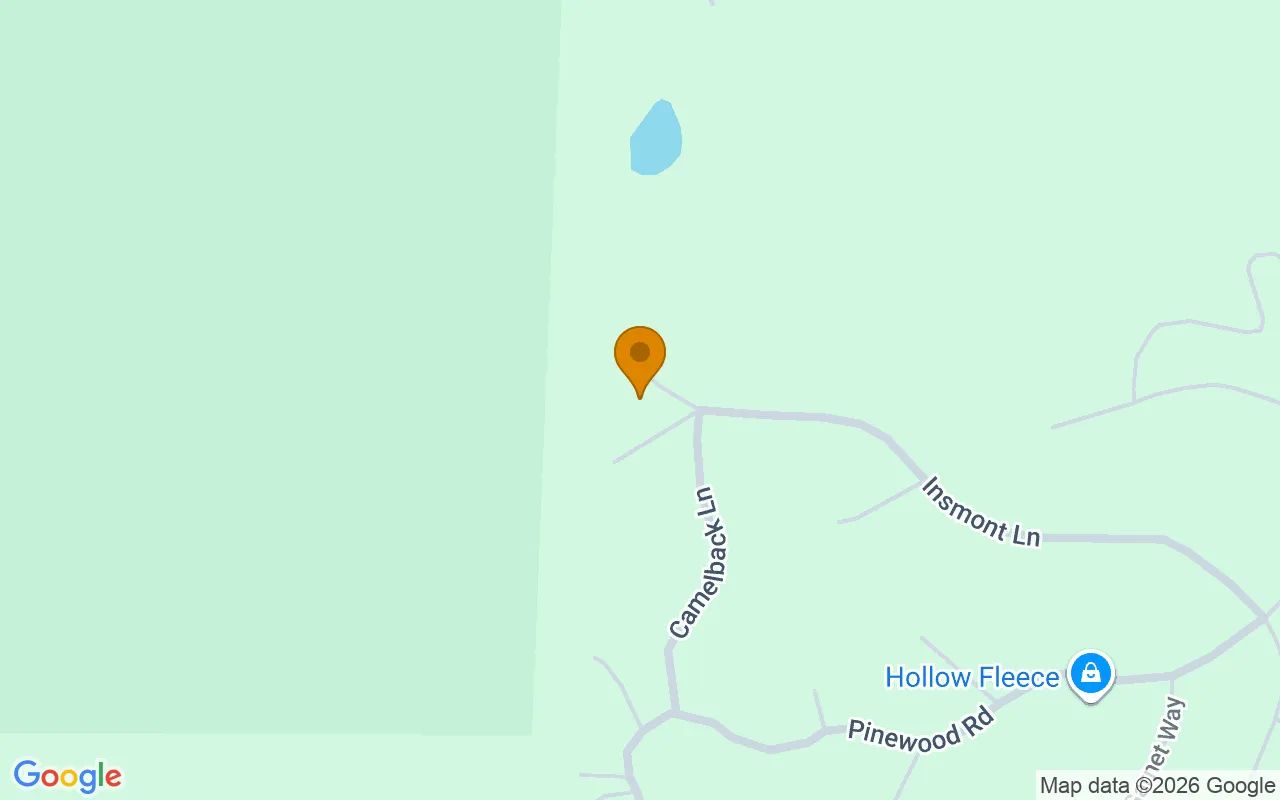0.56 Acres in Florissant - Teller County, CO in Teller County, Colorado