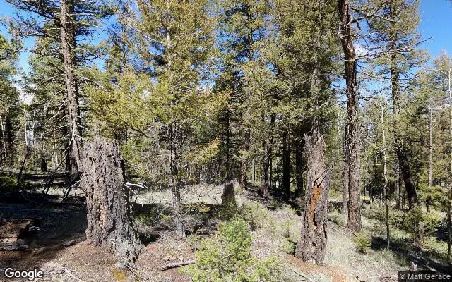 0.56 Acres in Florissant - Teller County, CO in Teller County, Colorado