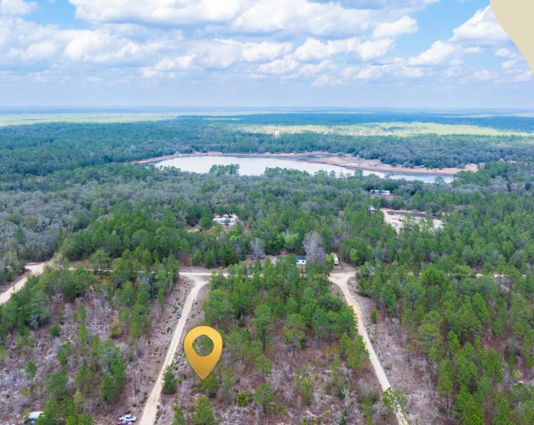 Own Nearly Half an Acre in Florida for $398/Mo - Watch Property Video in Putnam County, FL