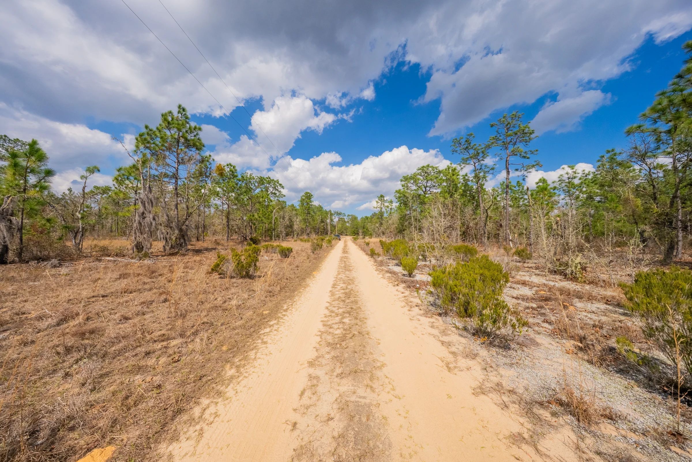 Own Nearly Half an Acre in Florida for $398/Mo - Watch Property Video in Putnam County, FL