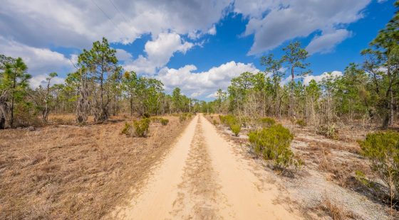 Own Nearly Half an Acre in Florida for $398/Mo - Watch Property Video in Putnam County, FL