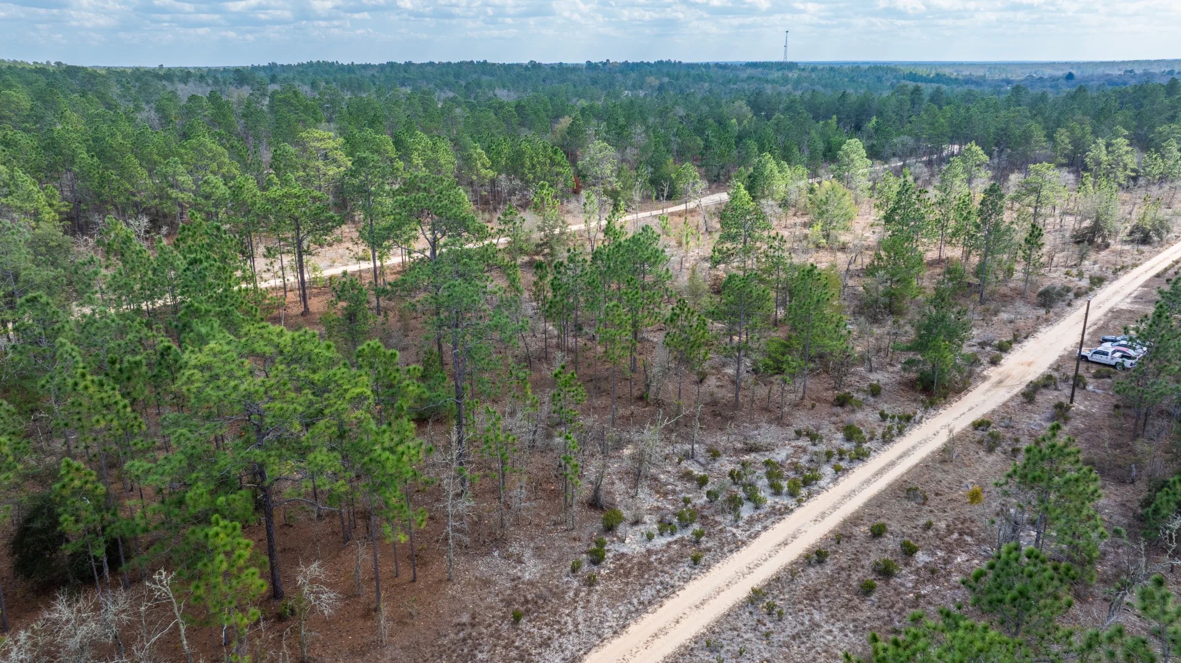 Own Nearly Half an Acre in Florida for $398/Mo - Watch Property Video in Putnam County, FL
