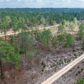 Own Nearly Half an Acre in Florida for $398/Mo - Watch Property Video in Putnam County, FL