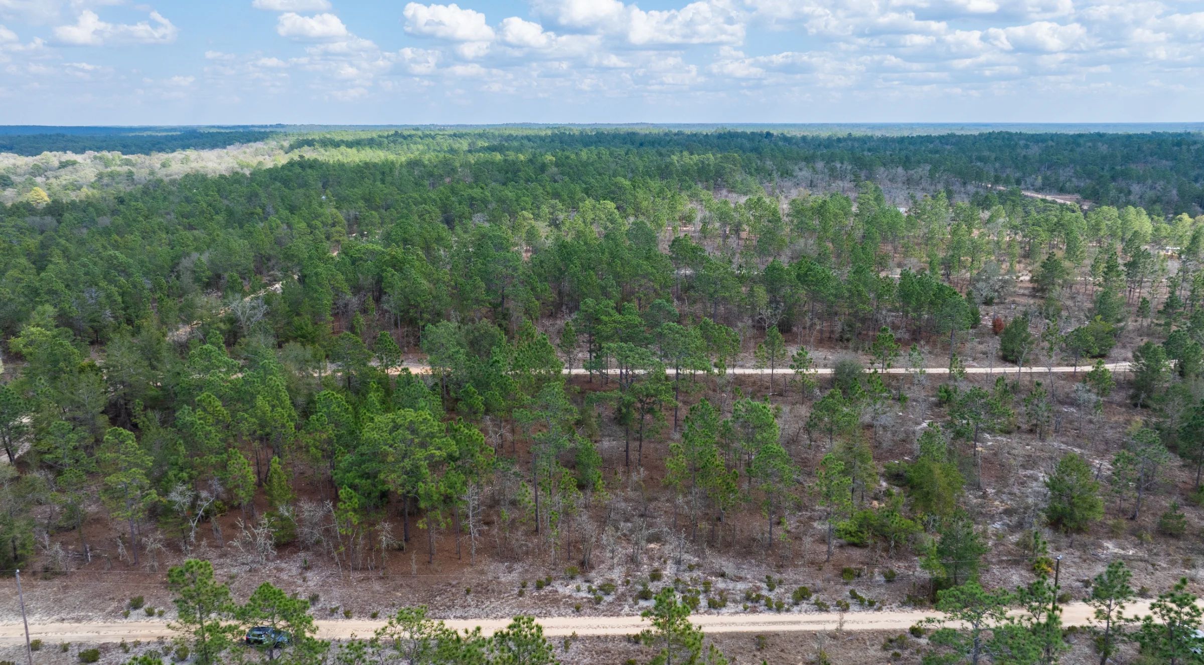 Own Nearly Half an Acre in Florida for $398/Mo - Watch Property Video in Putnam County, FL