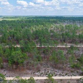 Own Nearly Half an Acre in Florida for $398/Mo - Watch Property Video in Putnam County, FL
