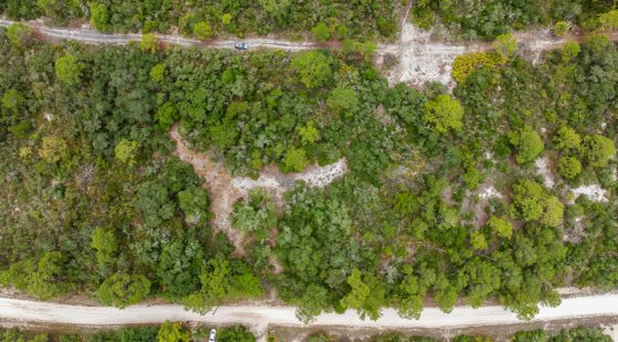 0.23 Acre Florida Lot for $349/mo a Simple Entry Point Into Ownership! in Highlands County, FL