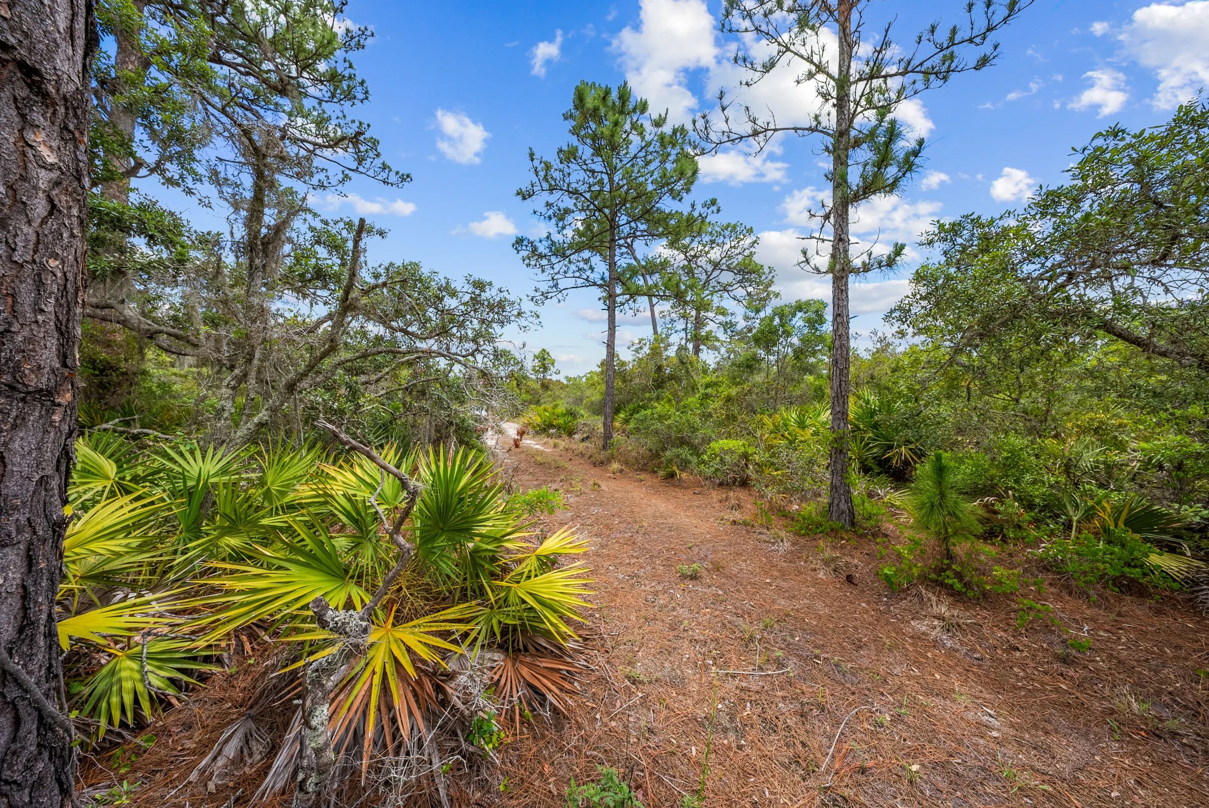 0.23 Acre Florida Lot for $349/mo a Simple Entry Point Into Ownership! in Highlands County, FL