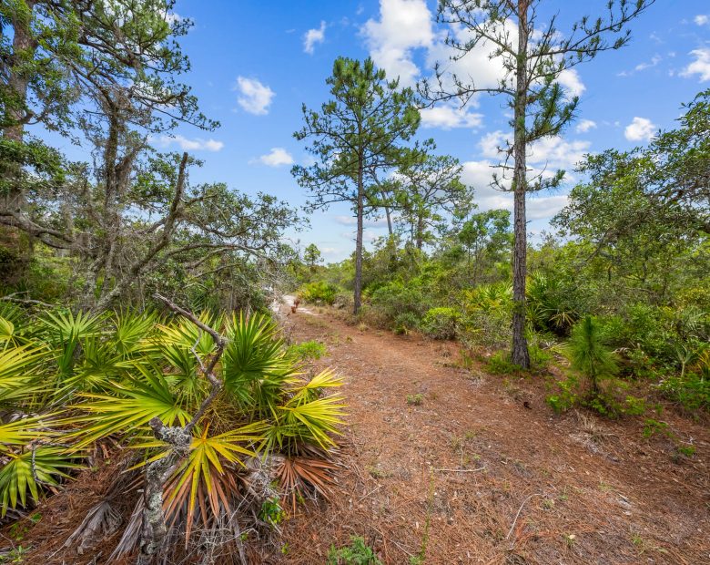 0.23 Acre Florida Lot for $349/mo a Simple Entry Point Into Ownership! in Highlands County, FL