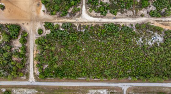 Secure Your Family’s Future on 0.23 Acres in Lake Placid, FL – $349/Mo in Highlands County, FL