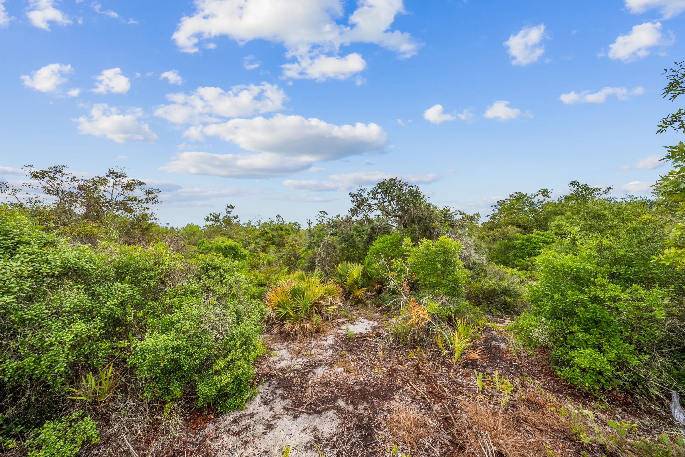 Secure Your Family’s Future on 0.23 Acres in Lake Placid, FL – $349/Mo in Highlands County, FL
