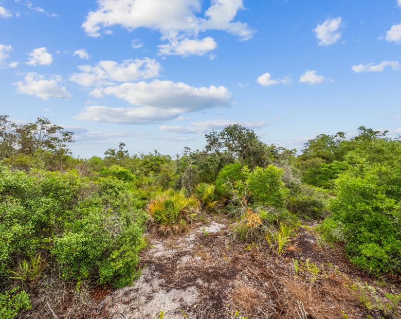 Secure Your Family’s Future on 0.23 Acres in Lake Placid, FL – $349/Mo in Highlands County, FL