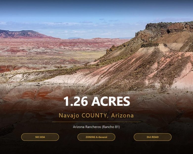 1.25 Acres of Arizona Land – Peaceful Desert Property in Navajo County in Navajo County, AZ